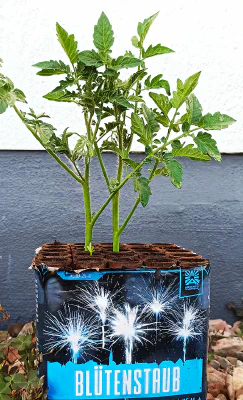 Wie ehrlich argumentiert die Deutsche Umwelthilfe gegen Feuerwerk?