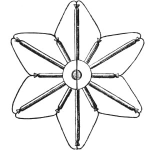 Silvesterfeuerwerk: Fachpolitik statt Populismus gefordert